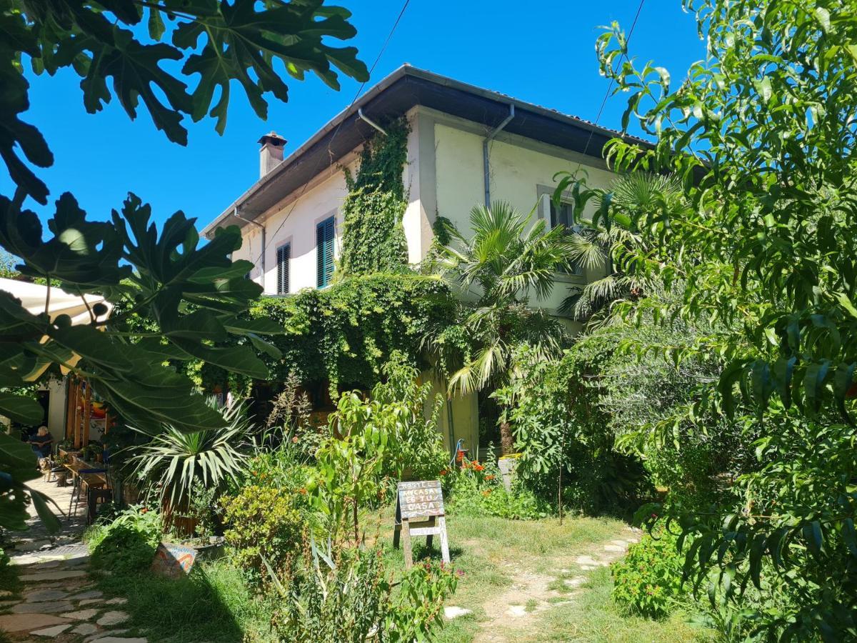 Mi Casa Es Tu Casa - Shkodra Backpackers Hostel Exterior foto